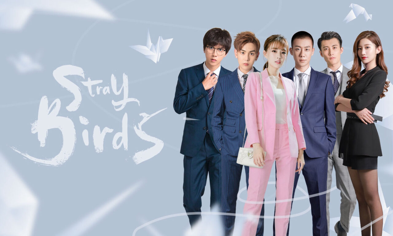 Xem phim Bầy Chim Lạc  - Stray Birds (2021)