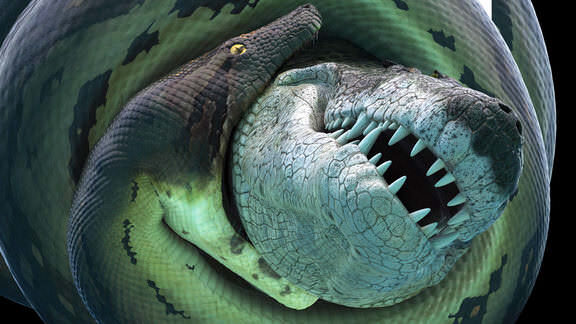 Xem phim Bí Ẩn Quái Vật Khổng Lồ Titanoboa  - Titanoboa Monster Snake (2012)