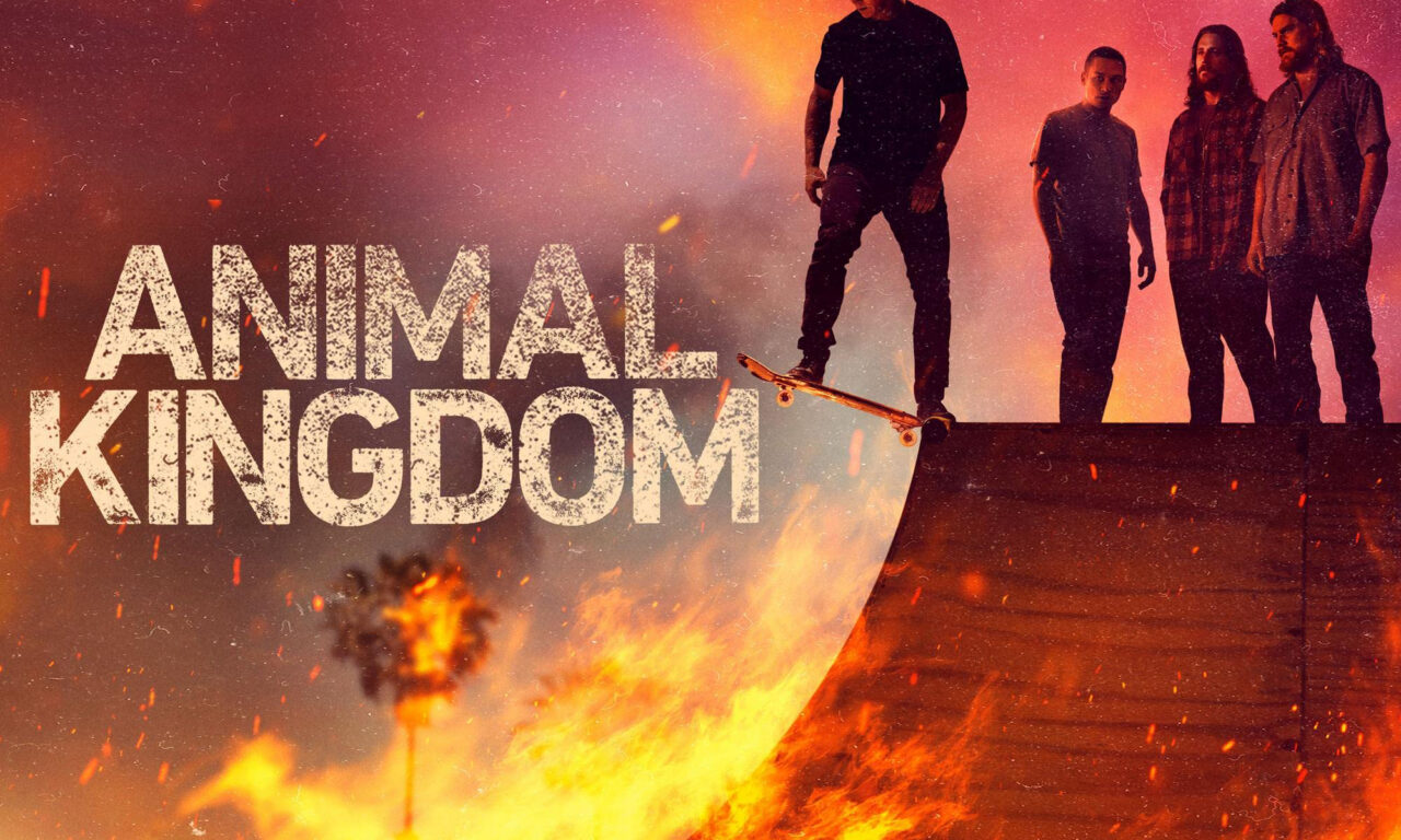 Xem phim Vương quốc động vật ( 6)  - Animal Kingdom (Season 6) (2022)