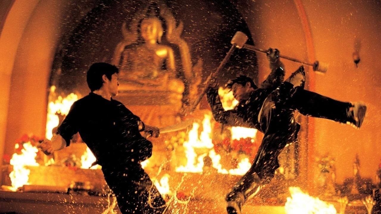 Xem phim Người Bảo Vệ  - The Protector (2005)