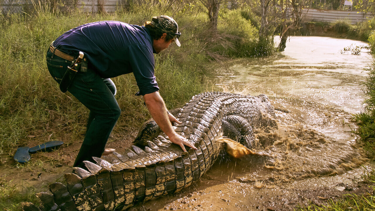 Xem phim Lãnh địa cá sấu hoang  - Wild Croc Territory (2022)