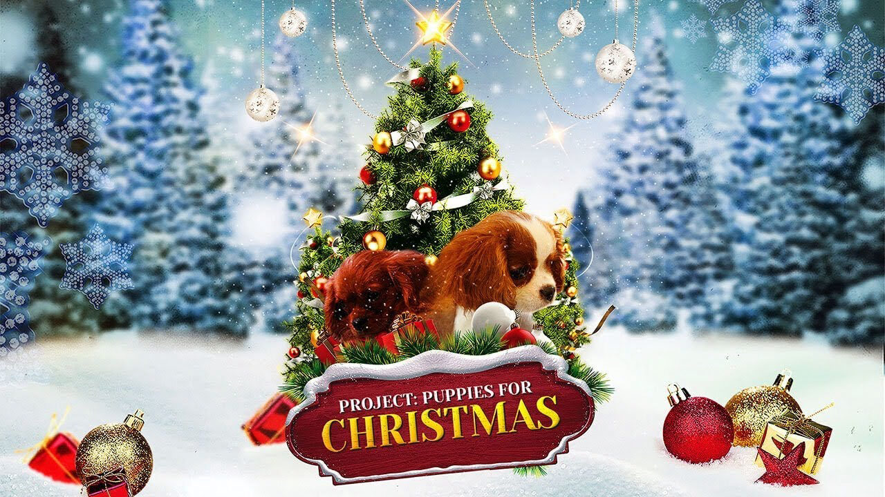 Xem phim Quà Giáng Sinh Bất Ngờ  - Project Puppies for Christmas (2019)