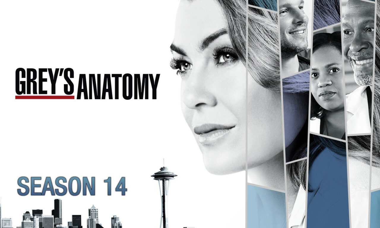 Xem phim Ca Phẫu Thuật Của Grey ( 14)  - Greys Anatomy (Season 14) (2017)