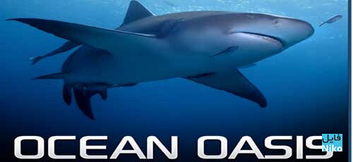 Xem phim Ốc Đảo Của Đại Dương  - Ocean Oasis (2000)