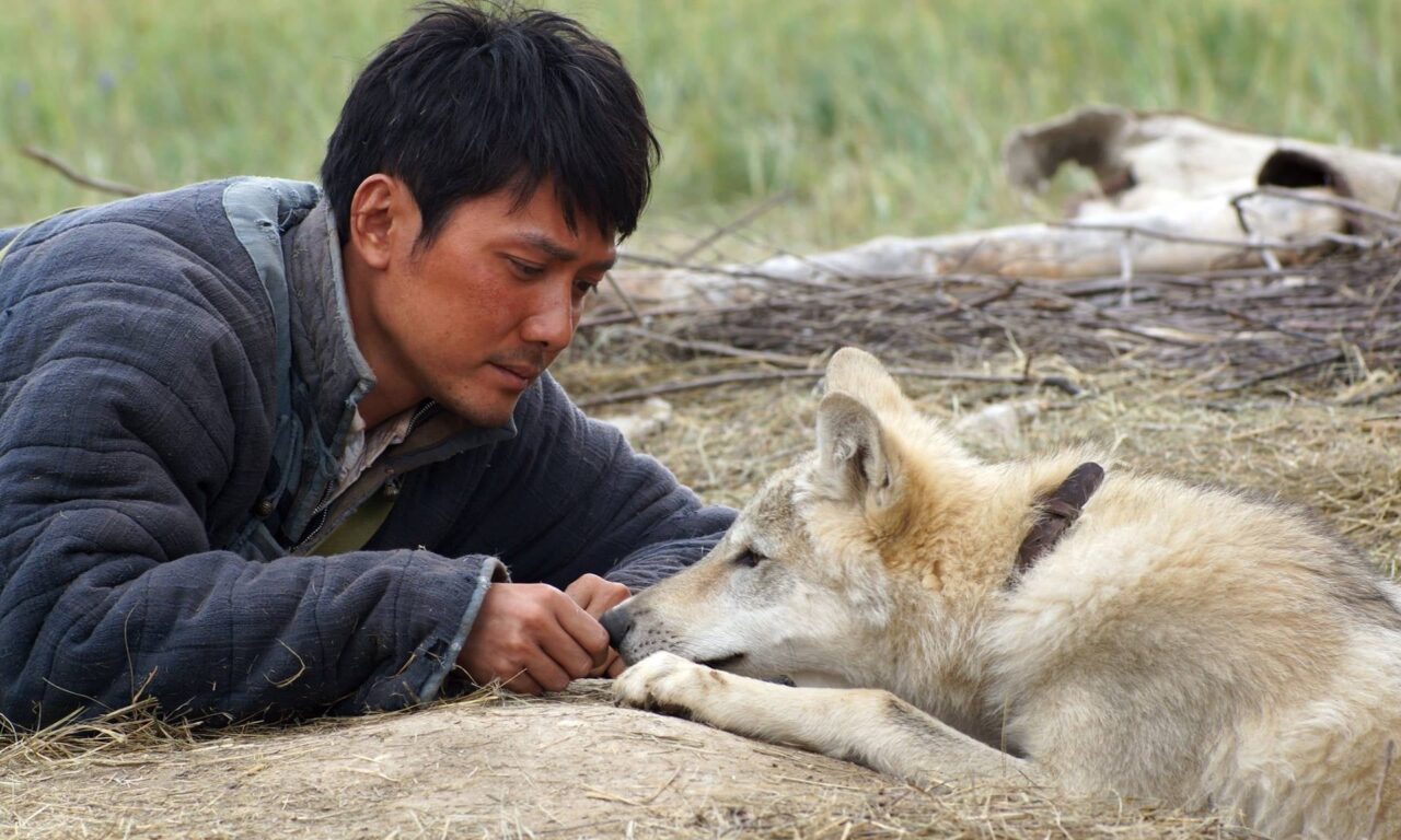 Xem phim Lang Đồ Đằng  - Wolf Totem (2015)