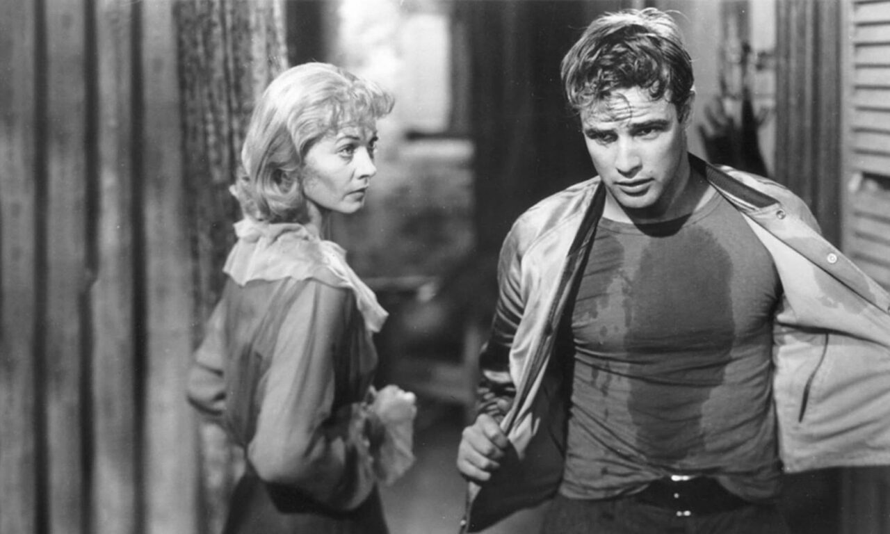 Xem phim Chuyến Tàu Mang Tên Dục Vọng  - A Streetcar Named Desire (1951)