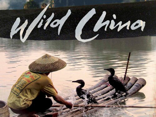 Xem phim Thiên Nhiên Hoang Dã Trung Quốc  - Wild China (2008)