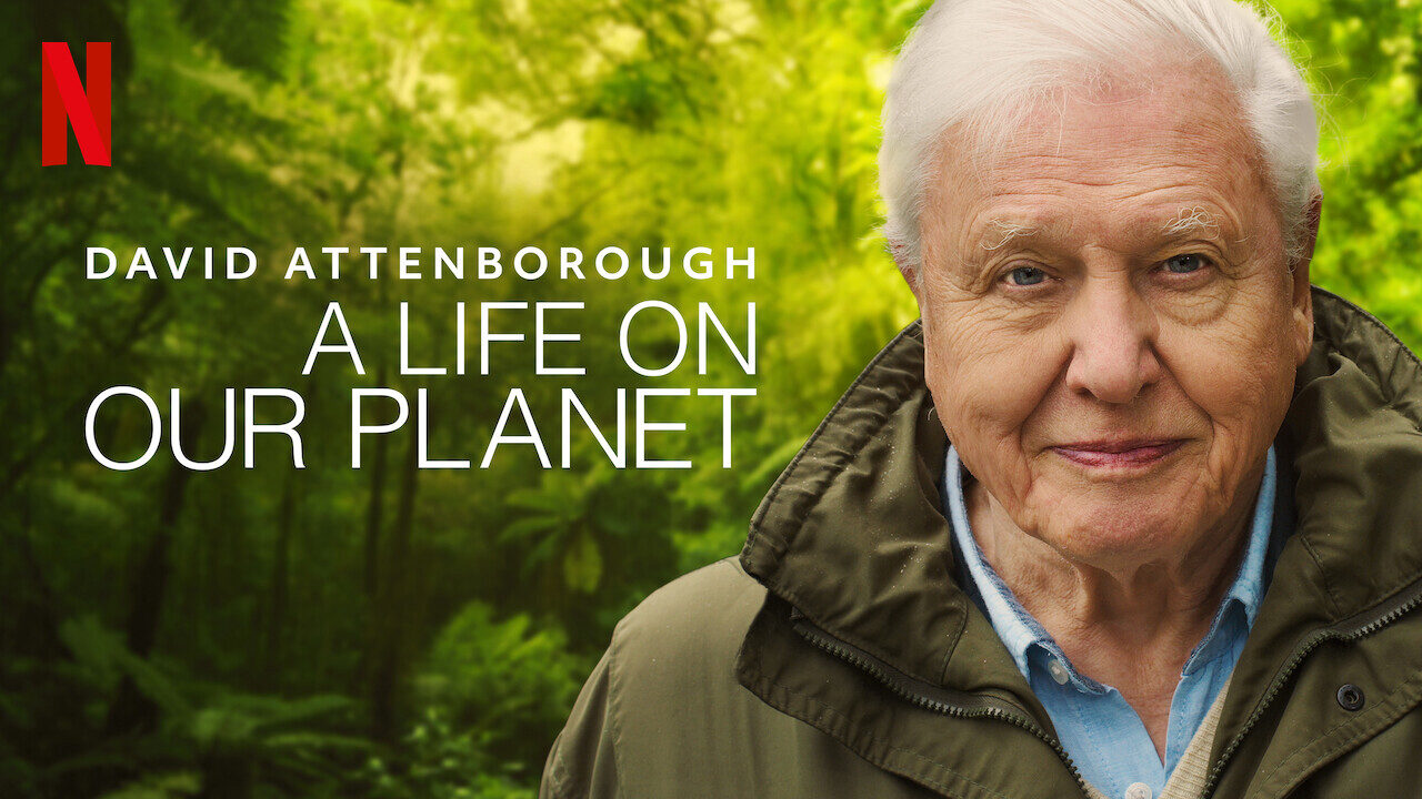 Xem phim David Attenborough Một Cuộc Đời Trên Trái Đất  - David Attenborough A Life On Our Planet (2020)