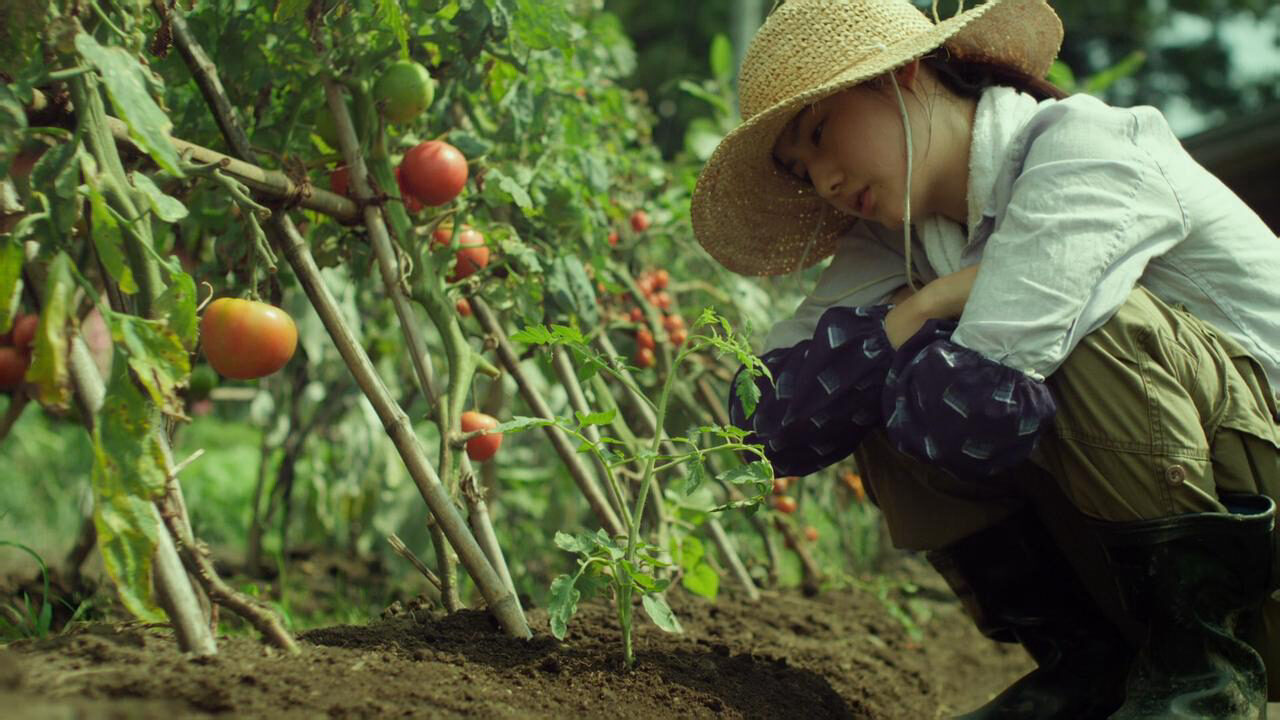 Xem phim Cánh Đồng Nhỏ Mùa Hạ Và Thu  - Little Forest SummerAutumn (2014)