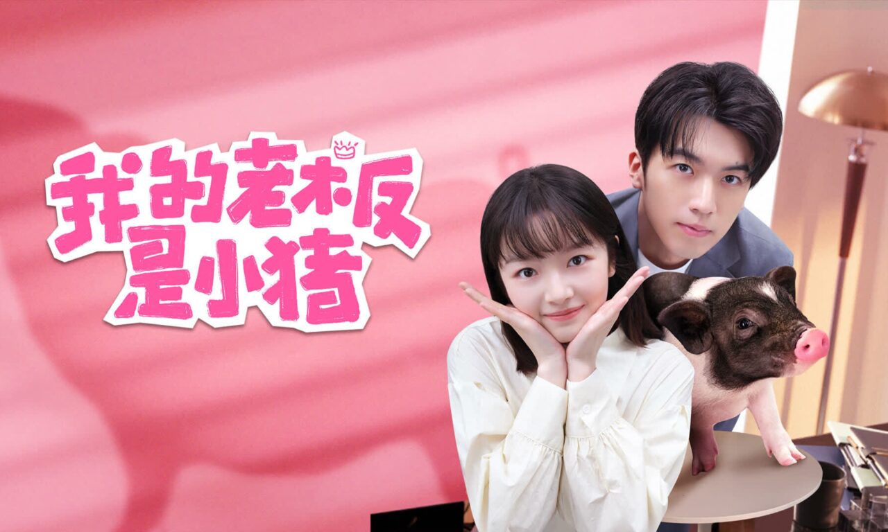 Xem phim Sếp Của Tôi Là Chú Lợn Nhỏ  - My Piggy Boss (2024)