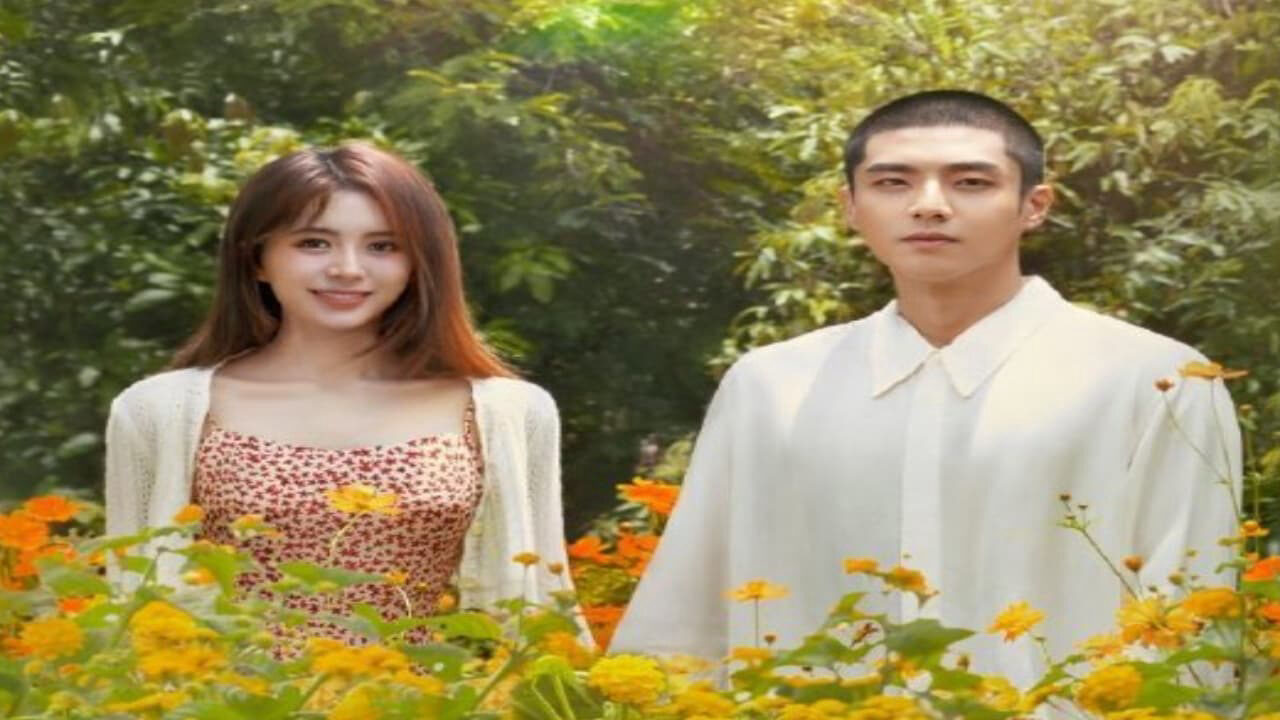 Xem phim Tiên Sinh Ẩn Cư Yêu Dấu  - Dear Mr Hermitage (2023)