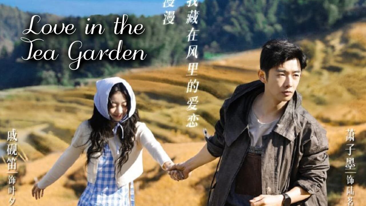 Xem phim Đồi Trà Tình Yêu  - Love in the Tea Garden (2024)