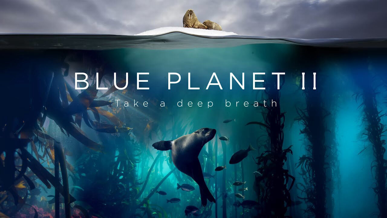 Xem phim Đại Dương Sâu Thẳm 2  - The Blue Planet 2 (2015)