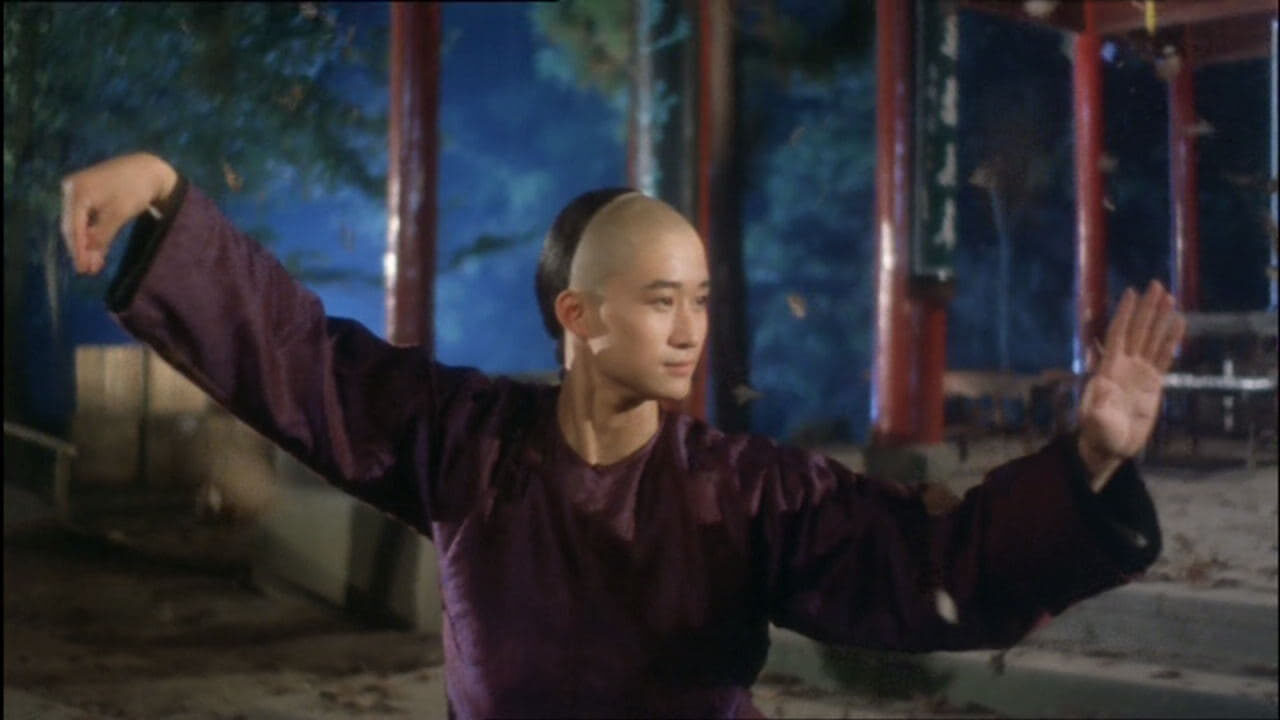 Xem phim Thái Cực Quyền II  - Tai Chi Boxer 2 (1996)