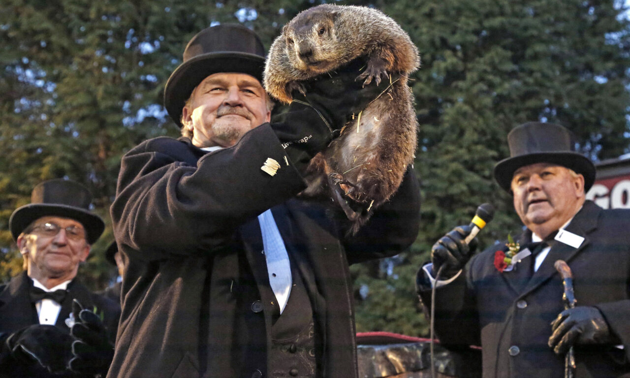 Xem phim Ngày Chuột Chũi  - Groundhog Day (1993)