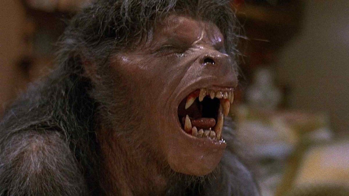 Xem phim An American Werewolf in London  - An American Werewolf in London (1981)