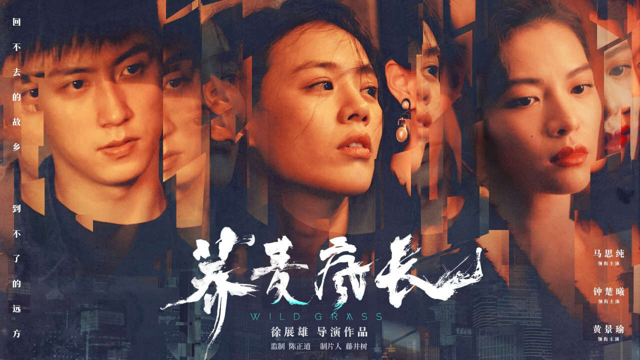 Xem phim Mùa Hoa Kiều Mạch  - Wild Grass (2020)