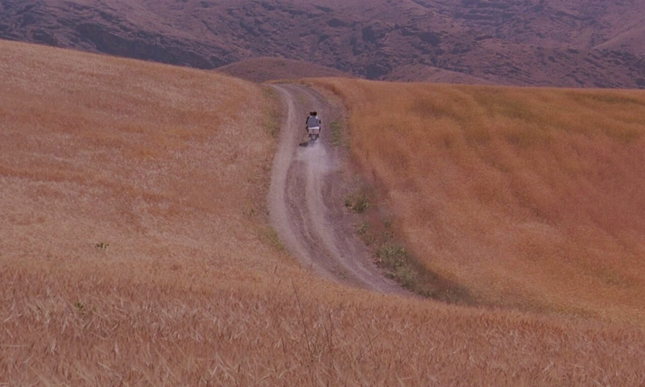 Xem phim Gió Sẽ Cuốn Ta ĐI  - The Wind Will Carry Us (1999)