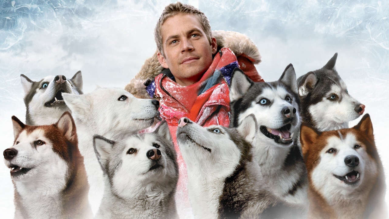 Xem phim Âm Tám Độ  - Eight Below (2006)