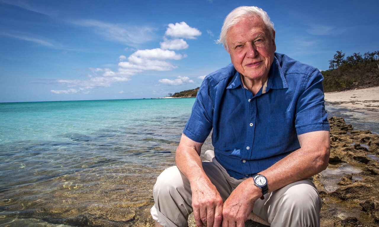 Xem phim Khám Phá Rạn San Hô Great Barrier cùng David Attenborough  - Great Barrier Reef with David Attenborough (2015)