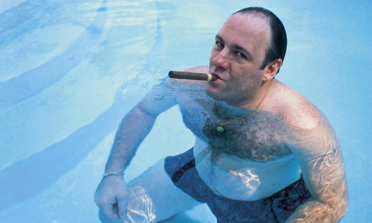 Xem phim Gã Hợm Hĩnh David Chase Và Gia Đình Soprano  - Wise Guy David Chase and The Sopranos (2024)