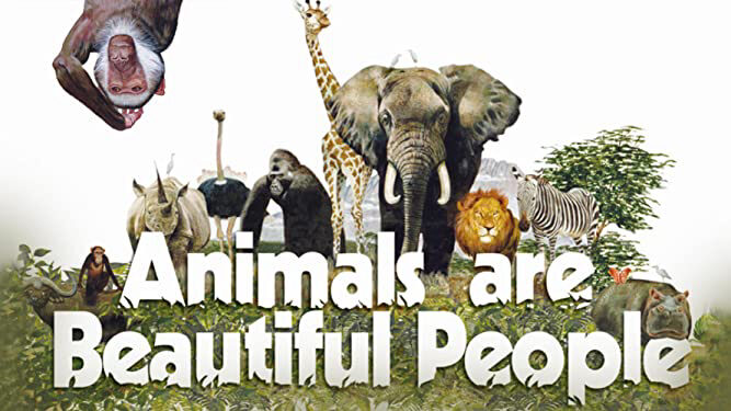 Xem phim Thế Giới Loài Vật Sống Động  - Animals Are Beautiful People (1974)