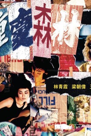 Tập full Trùng Khánh Sâm Lâm - Chungking Express (1994)-Chungking Express