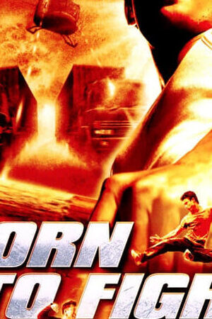 Tập full Sinh Ra Để Chiến Đấu - Born to Fight (2004)-Born to Fight