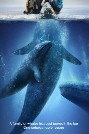 Tập 3 Phép Màu - Big Miracle (2012)-Big Miracle