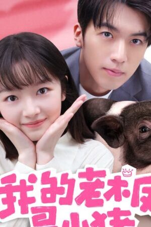 Tập 9 Sếp Của Tôi Là Chú Lợn Nhỏ - My Piggy Boss (2024)-My Piggy Boss