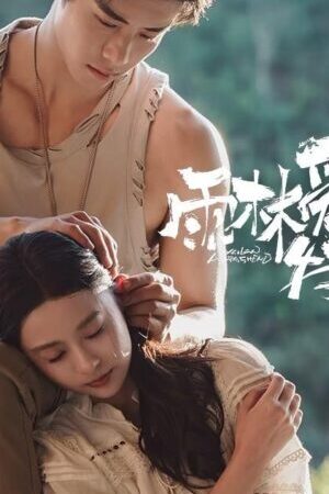 Xem phim Chuyện Tình Trong Rừng Mưa  - Rainforest Passions (2024)