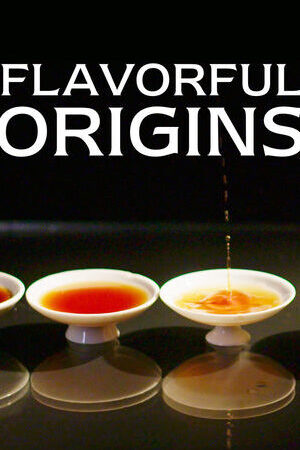 Tập 9 Nguồn gốc của hương vị ( 1) Ẩm Thực Triều Sán - Flavorful Origins (Season 1) (2019)-Flavorful Origins (Season 1)