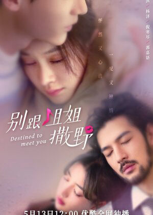 Tập 19 Đừng Nhờn Với Chị - Destined to Meet You (2022)-Destined to Meet You