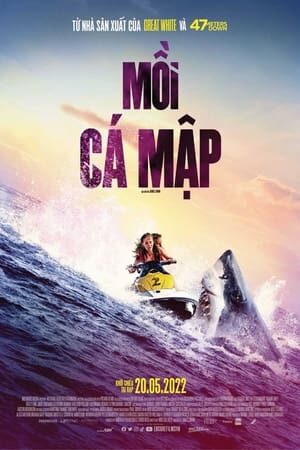 Xem phim Mồi Cá Mập  - Shark Bait (2022)