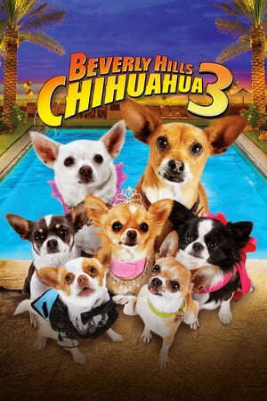 Xem phim Nữ Minh Tinh Và Chàng Lãng Tử  - Beverly Hills Chihuahua 3 Viva La Fiesta (2012)