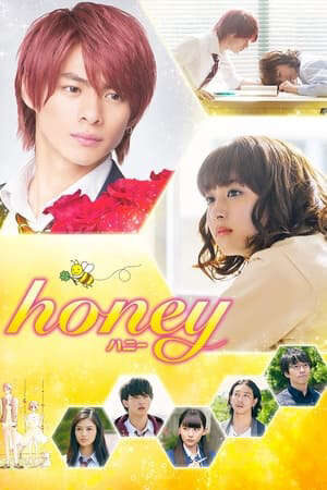 Tập full Mật Ngọt - Honey (2018)-Honey