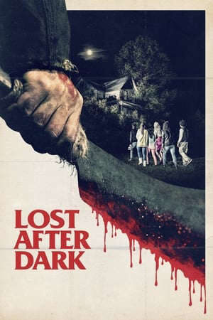 Xem phim Sau Bức Màn Đêm  - Lost After Dark (2014)