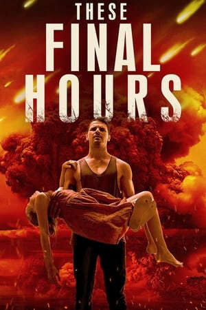 Tập full Thời Khắc Cuối Cùng - These Final Hours (2014)-These Final Hours