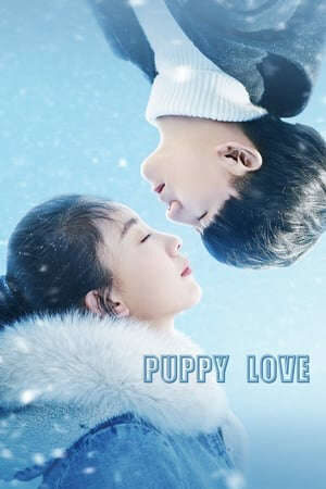 Tập full Tình Yêu Tuổi Mới Lớn - Puppy Love (2017)-Puppy Love