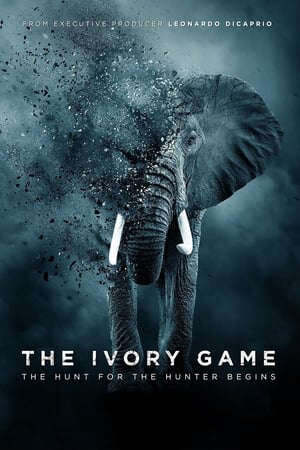 Tập full Kẻ Trộm Ngà Voi - The Ivory Game (2016)-The Ivory Game