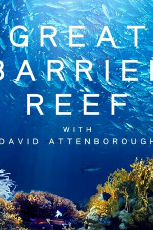 Tập 01 Khám Phá Rạn San Hô Great Barrier cùng David Attenborough - Great Barrier Reef with David Attenborough (2015)-Great Barrier Reef with David Attenborough