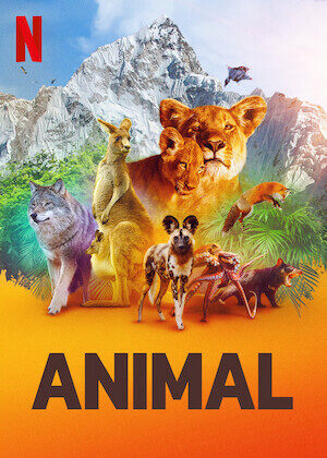 Tập 4 Động vật ( 1) - Animal (Season 1) (2021)-Animal (Season 1)