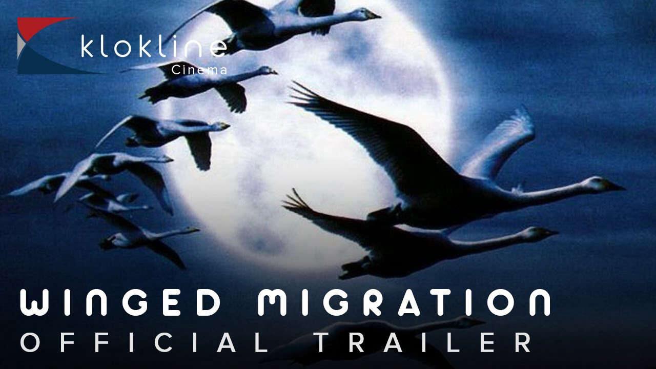 Xem phim Những Cánh Chim Di Cư  - Le peuple migrateurWinged Migration (2001)