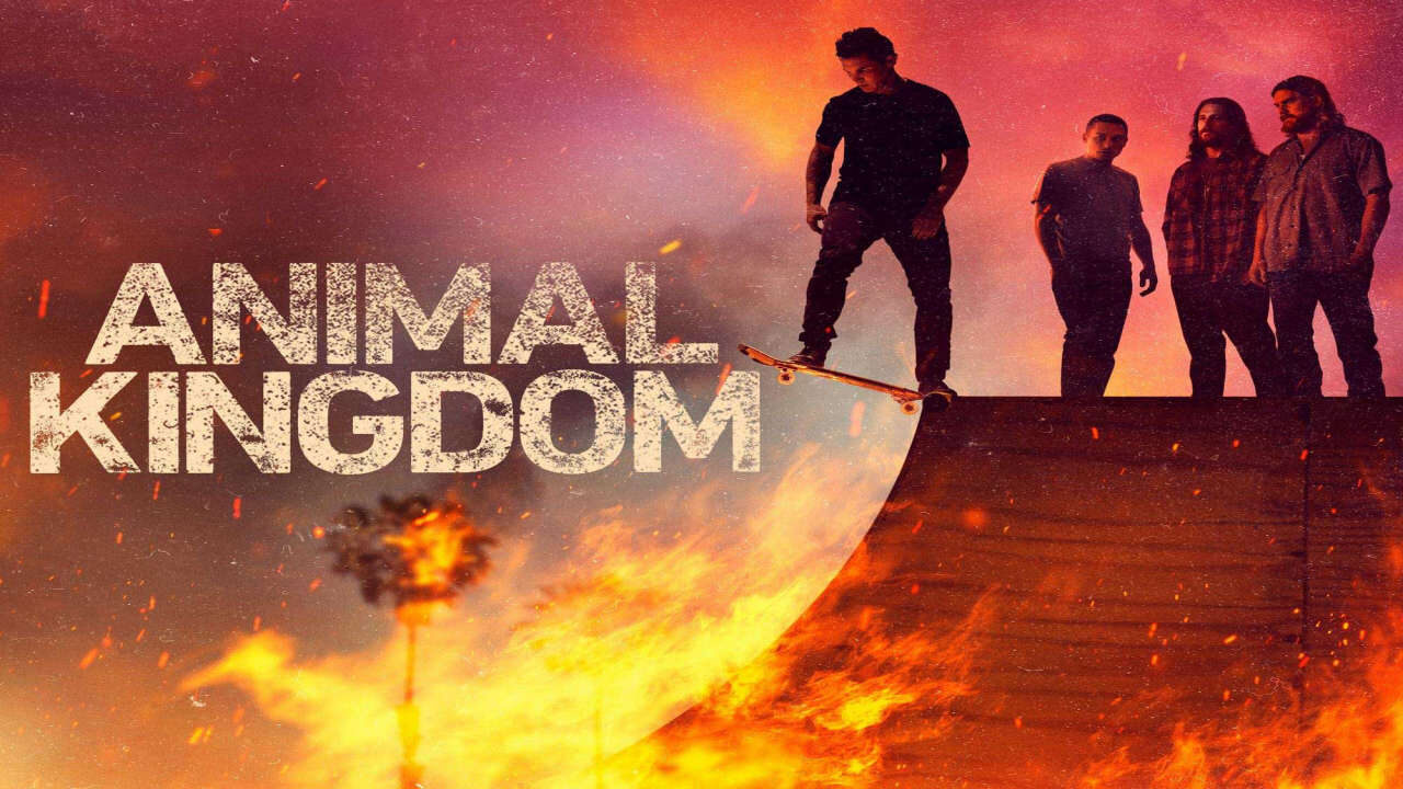 Xem phim Vương Quốc Tội Phạm ( 6)  - Animal Kingdom (Season 6) (2022)