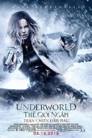 Tập full Thế Giới Ngầm 5 Trận Chiến Đẫm Máu - Underworld Blood Wars (2016)-Underworld Blood Wars