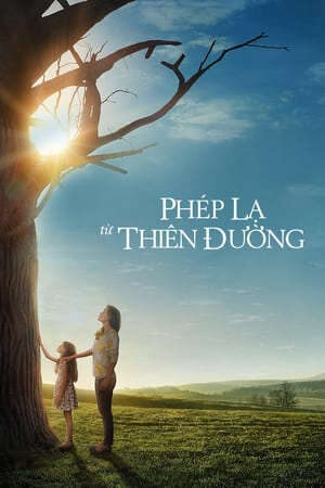 Xem phim Phép Màu Từ Thiên Đàng  - Miracles From Heaven (2016)